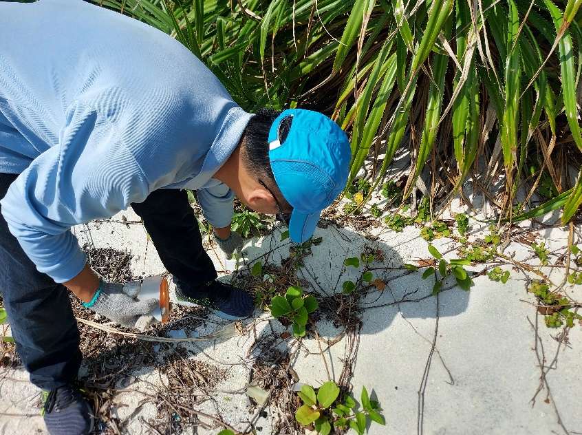 南岸S3調查中情形